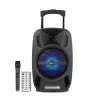 Astrum TM081 "Trolley" hordozható bluetooth hangszóró  8.0", 30W, FM, USB, MicroSD, színes LED világítás, mikrofon