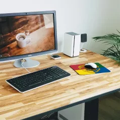 Harry Potter 038 egérpad (WMPHARRY014)